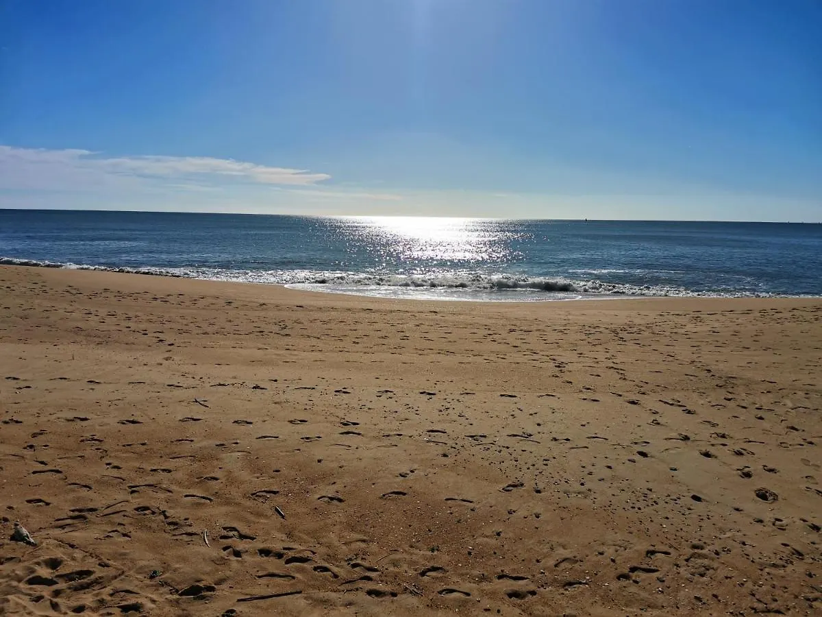 Seaflower - Cosy, Family Friendly Condo 50M From The Beach Quarteira 0*,  Portugal